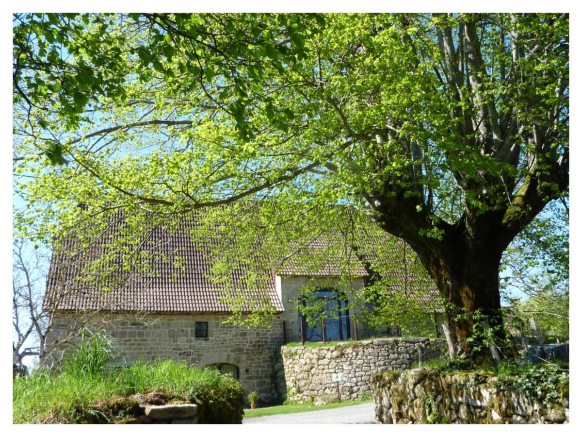 A L'Ombre Du Tilleul Comiac Exterior photo